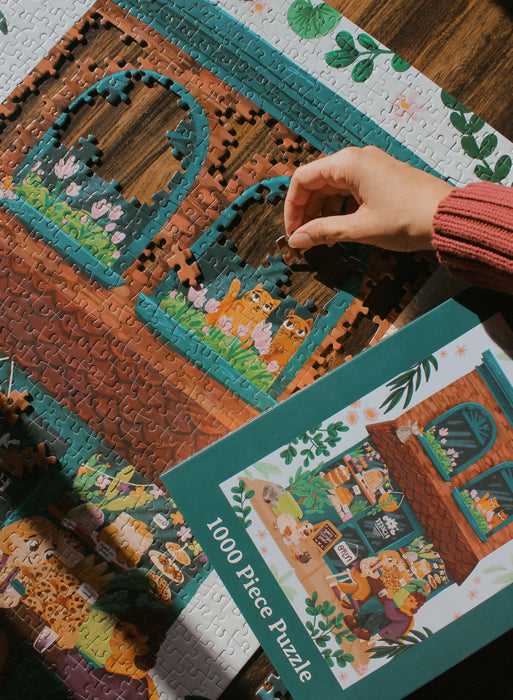 Pinch Shop Window Puzzle