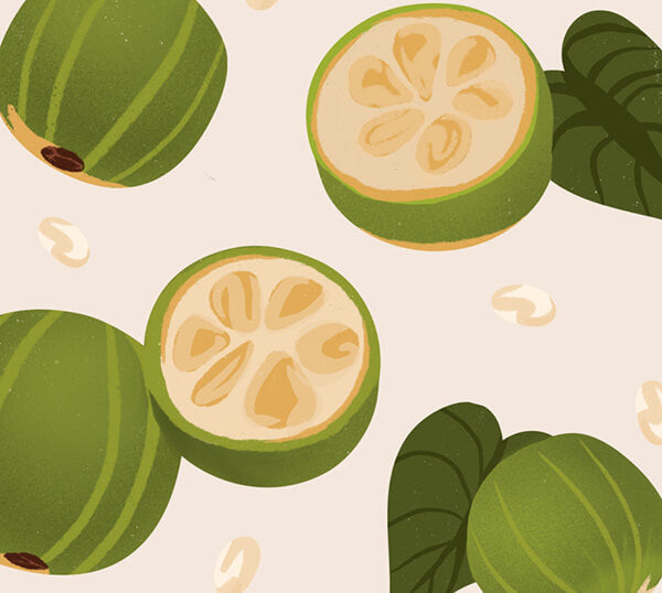 Illustration of green monkfruits with cut sections on a beige background
